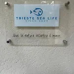 Sea Life