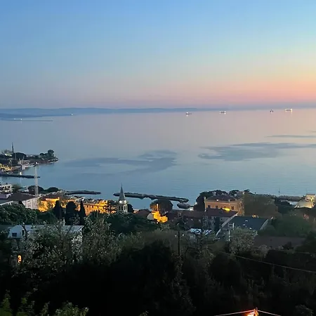 Bed and Breakfast Sea Life