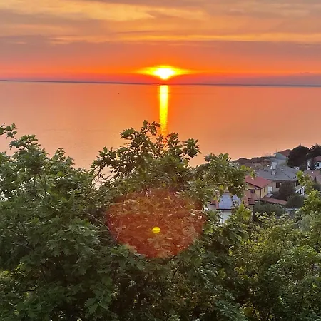 Sea Life Τεργέστη