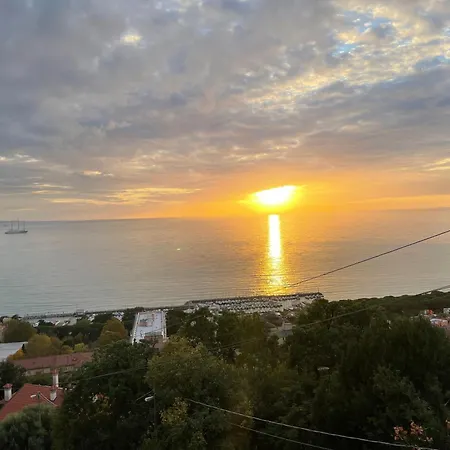 Bed and Breakfast Sea Life