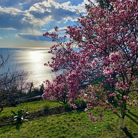 Oda ve Kahvaltı Sea Life Trieste